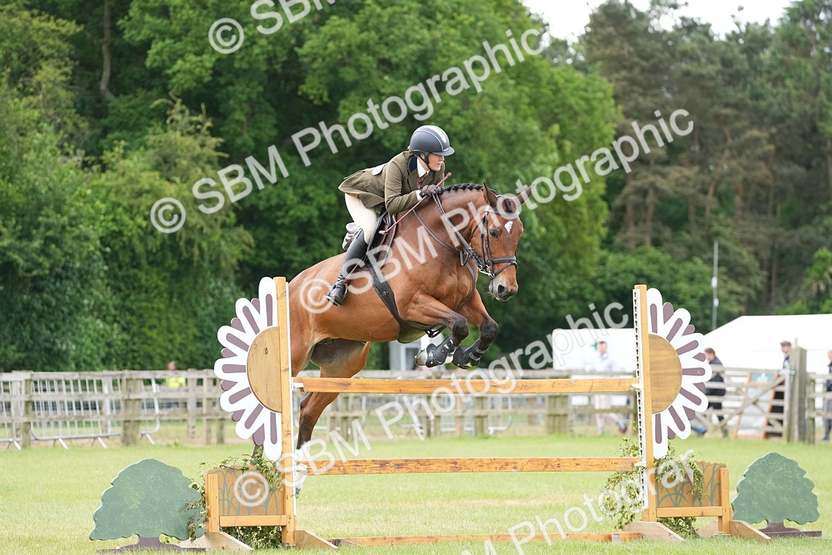 SBM_14966 - Class 100-102 - RIHS Working Hunter