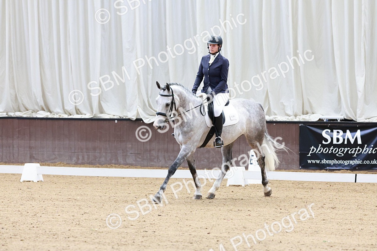 SBM_003169 - Intro 2