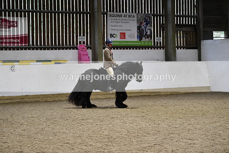 WJ5_8623 - Class 14 Novice Ridden/Rider