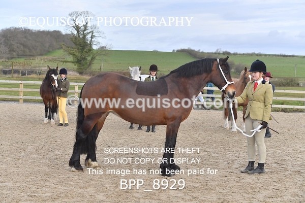 BPP_8929 - RING 2 - M&M