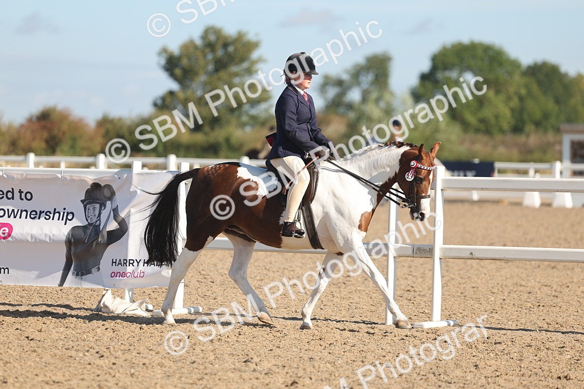 SBM_12290 - Class 304 - Ridden part Bred Horse Pony