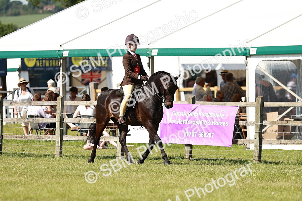 SBM_18509 - Class 112-113 - BSPS LIHS Working Sports Pony