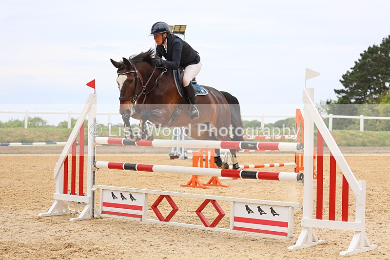 3E7A9598 - Class 9: Senior Foxhunter/1.20 open