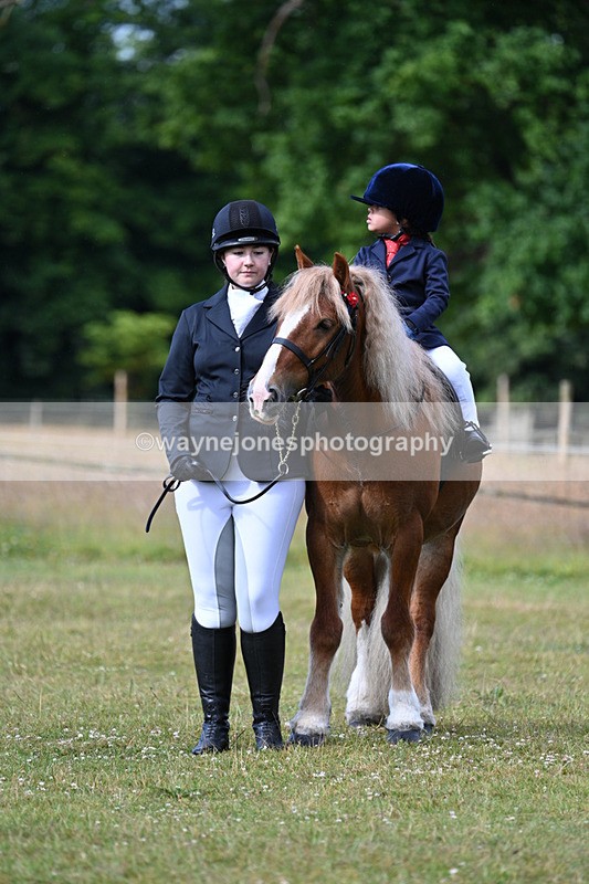 WJ7_4531 - Class 1 Lead Rein Pony