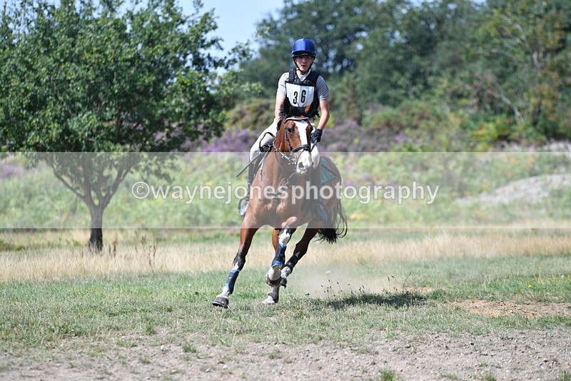 WJ5_2820 - XC Time 12:35 to 12:59