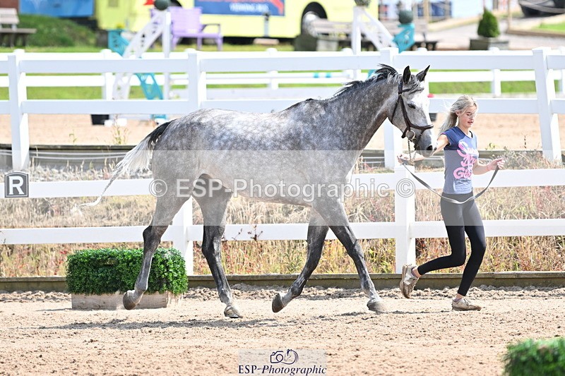 240717A-150538-02527 - Trot Up 3pm to 4pm