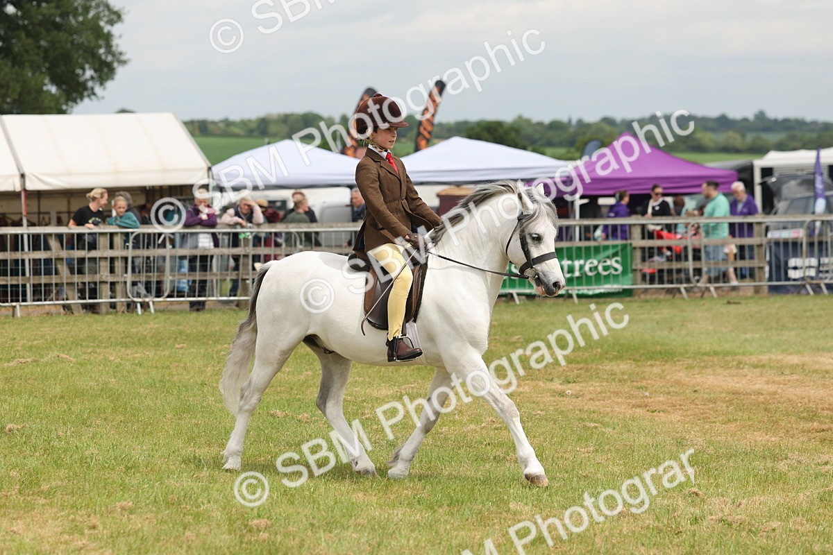 SBM_06875 - Class 74-75 - M&M Lead Rein and First Ridden Pony