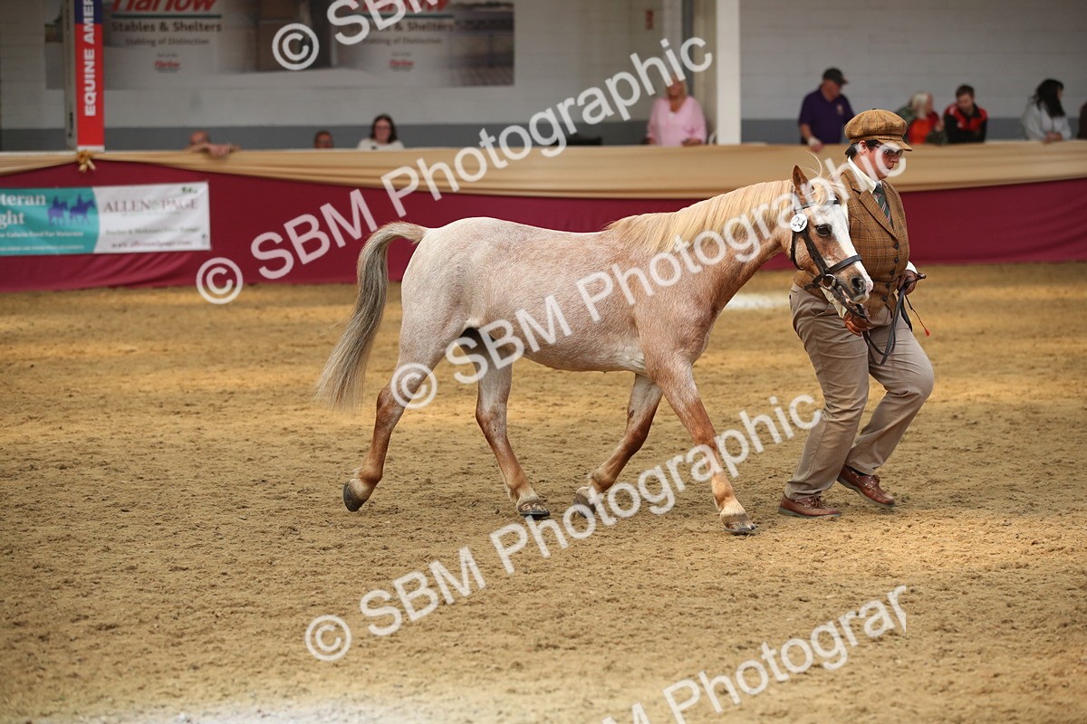 SBM_05389 - Class 8R - Regional IH Veteran