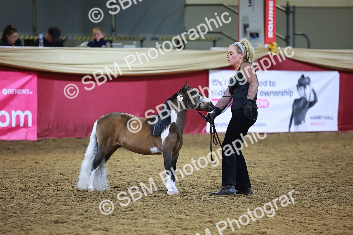 SBM_15539 - Class R - Veteran Champ
