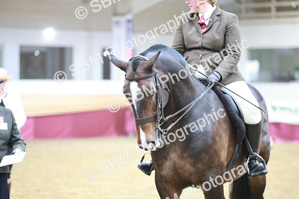 SBM_08850 - Class 12R - Regional Ridden Pre-Vet