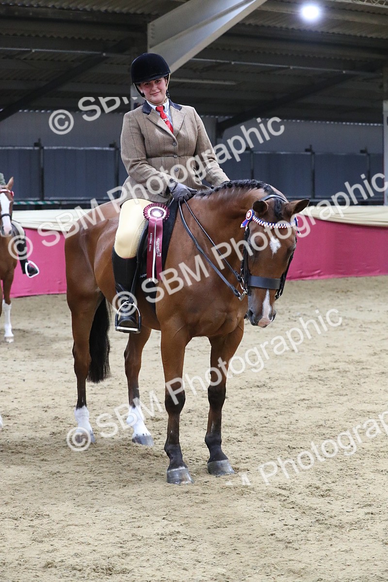 SBM_08481 - Class 11R Regional Ridden Veteran