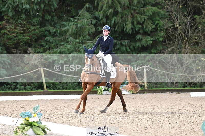 251023A-101750-01480 - B-128-Holly.Law