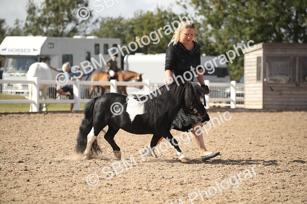 SBM_23105 - Class 606 - 2026 - Area - IH Pre Vet