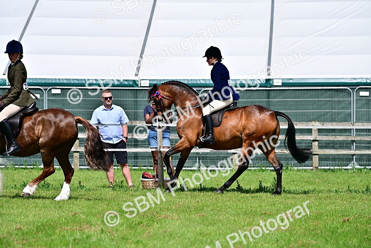 SBM_03755 - Class 58 - TSR  Ridden Veteran Amateur of the year