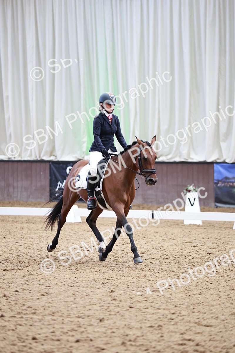 SBM_014114 - Class 7 - Ele FSM Bronze 12.12.13.08