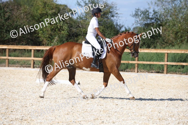 20260905-1545 - Class 5 - Novice 2