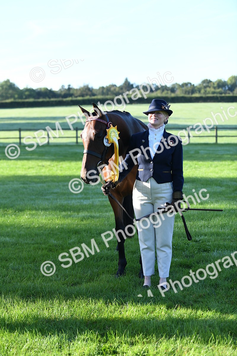 SBM_32849 - S15 - Condition & Turnout In Hand