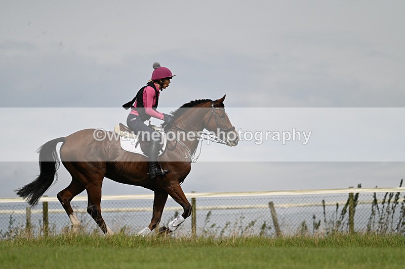 WJ7_7549 - Time 13:30 to 13:48