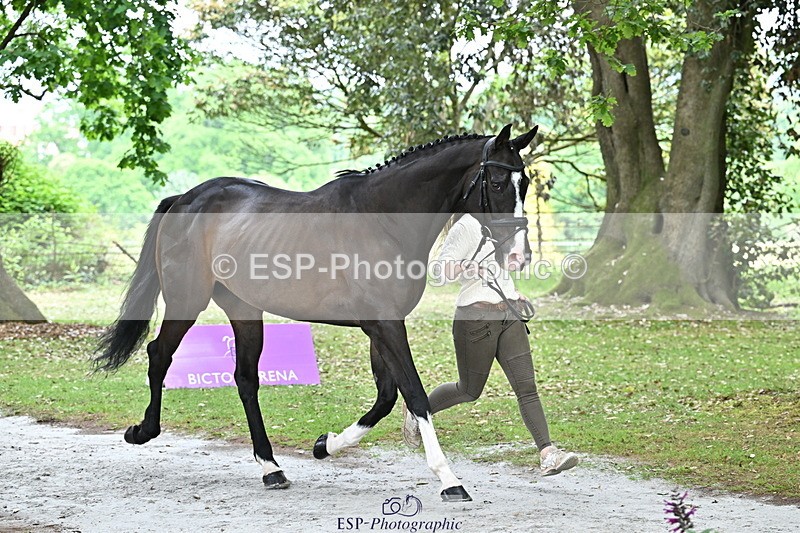 250521A-144730-00240 - A-060-Sophie.Wildern-CARTOON.HERO