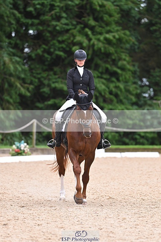 240809-121833-00733 - 185-Daisy.Hedges-Felicia.v