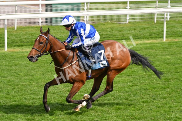 yr13052021r5-20 - Race 5 3.40pm British Stallion Studs EBF Westow Stakes