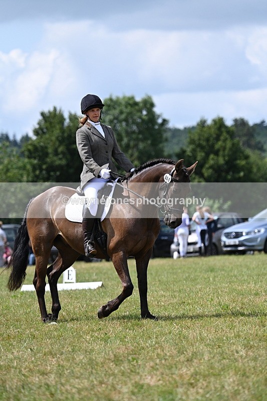 WJ7_4809 - Time 11:22 to 11:51