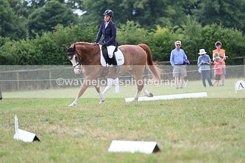 WJ7_5910 - Time 11:52 to 12:10