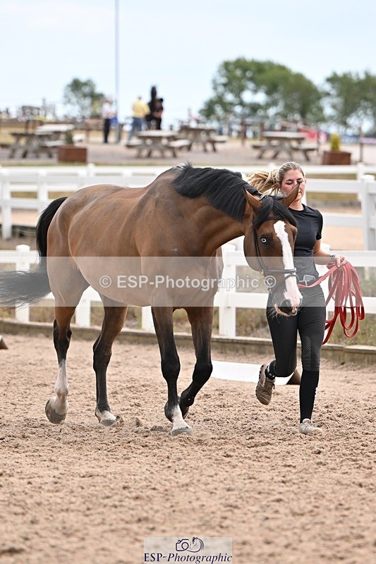 250716-145331-01481 - Trot Up 2.30 to 3.30