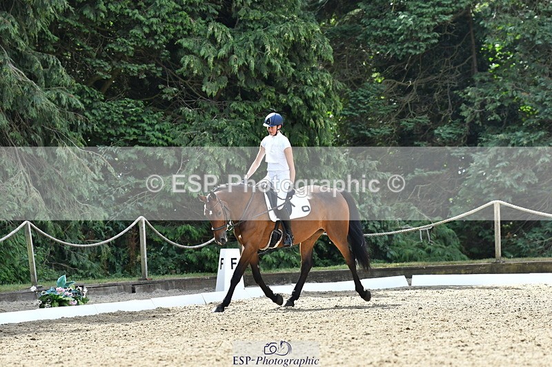 260801A-110000-03334 - Prelim Bronze Start - 11.35