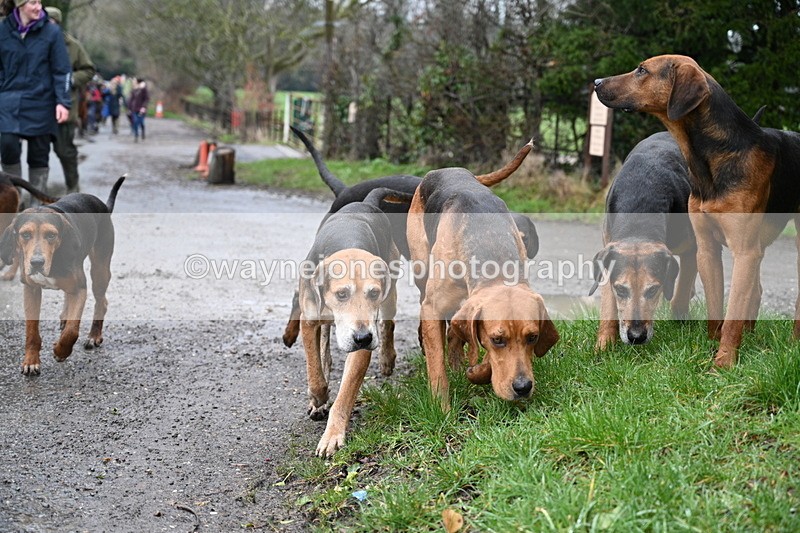 WJ7_9373 - Walk out..