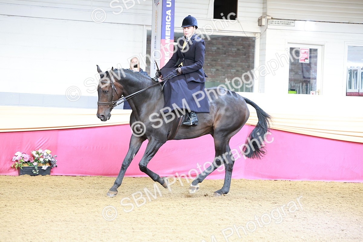 SBM_11944 - Class 102 - Equitation (Best Rider) Adult