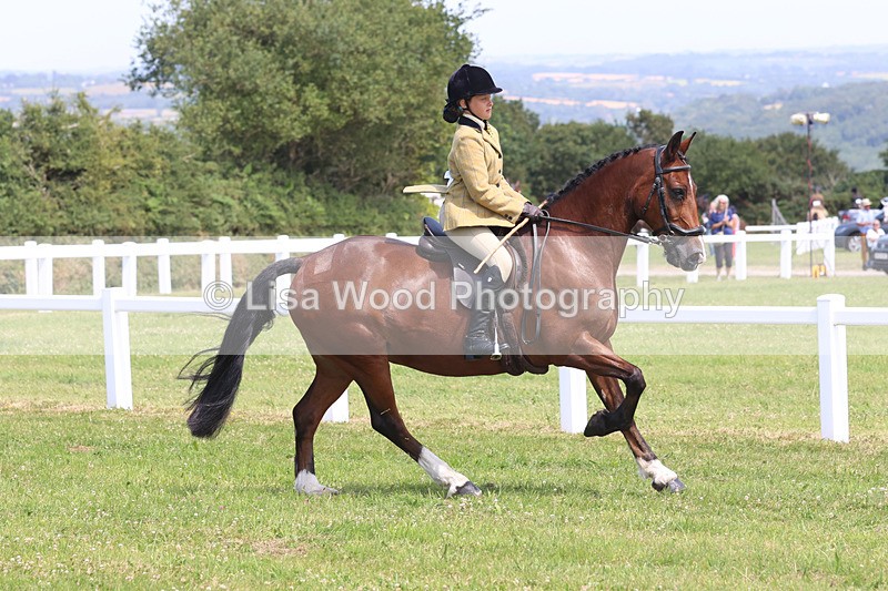 JPP_3241 - Class 22: Working Hunter 70cm
