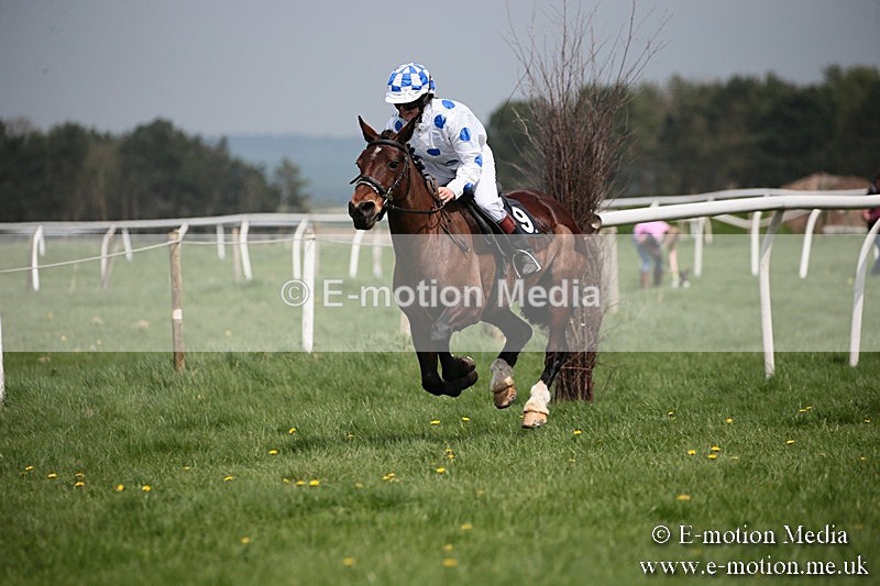 PtP 210418 49 - South & West Wilts Point-to-Point Larkhill 21/04/18