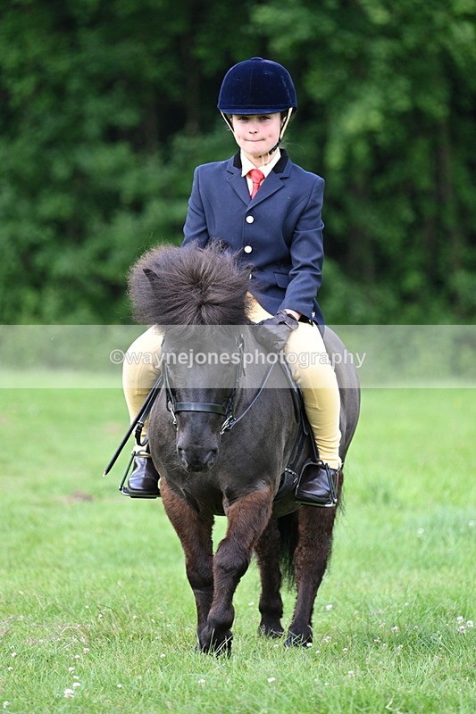 WJ7_1031 - Class 11 Condition & Turnout
