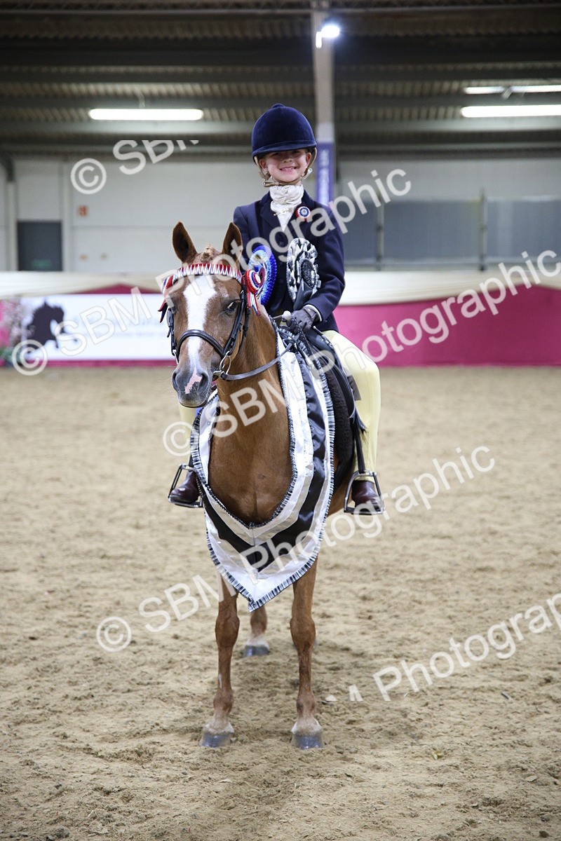 SBM_19060 - Class G Ridden Pony Champ