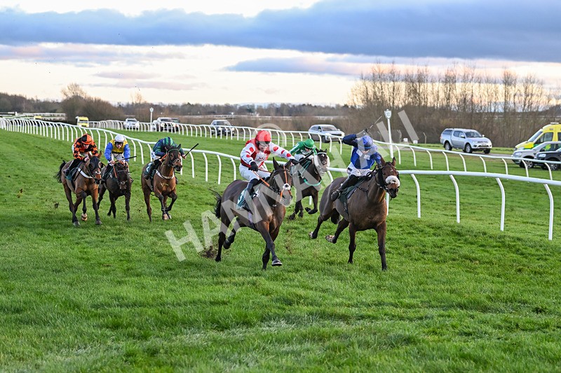 281224-Race 6-Achille Des Rocs-4960 - Race 6