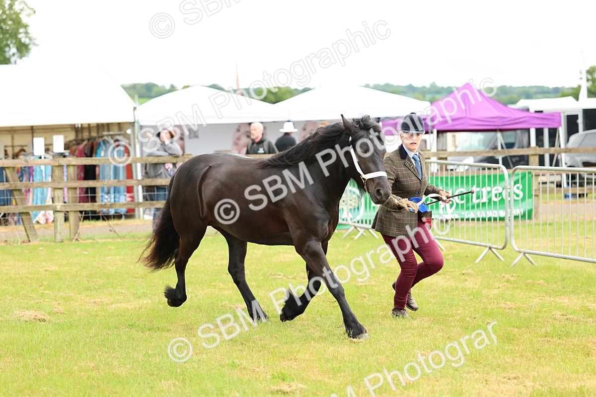 SBM_00459 - Class 58-67 - M&M Non Welsh Pony In hand