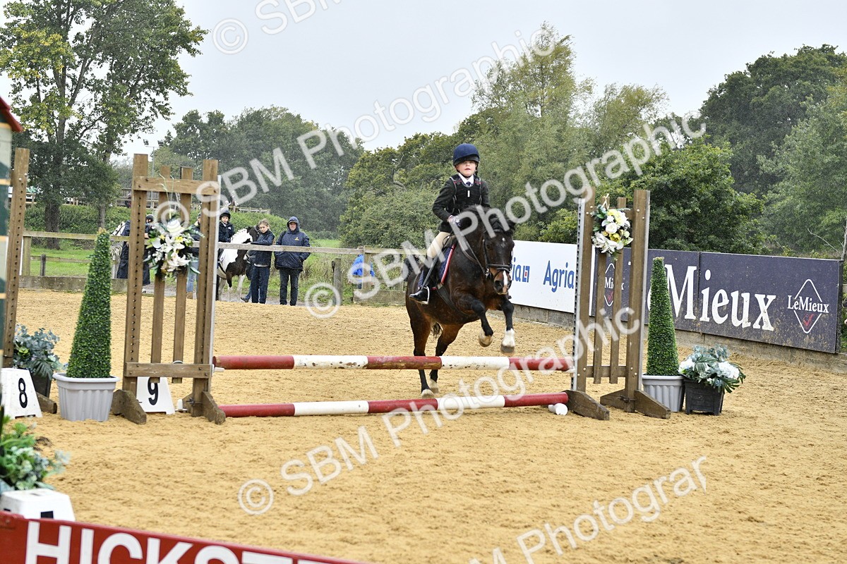 SBM_70761 - J3 - Mini Tour Junior Pony 40cm championship