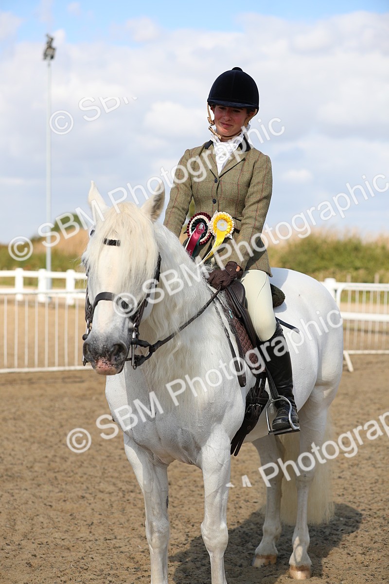 SBM_03303 - Class 44 Riding Club Horse/ Pony