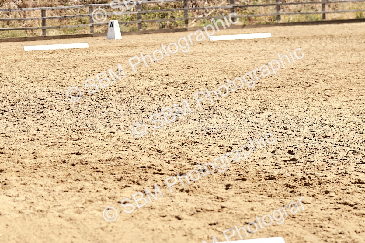SBM_000842 - Class 12 - DR P1
