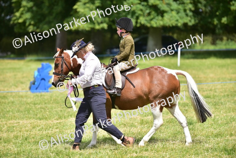 20260614-1429 - Class 11b - Lead Rein Pony (Plaited)