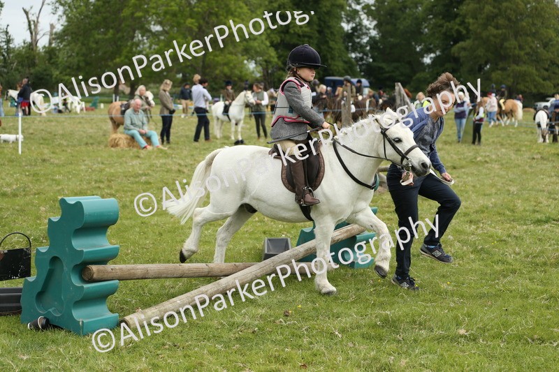 20250517-0570 - Class 20 - Beginners Working Hunter