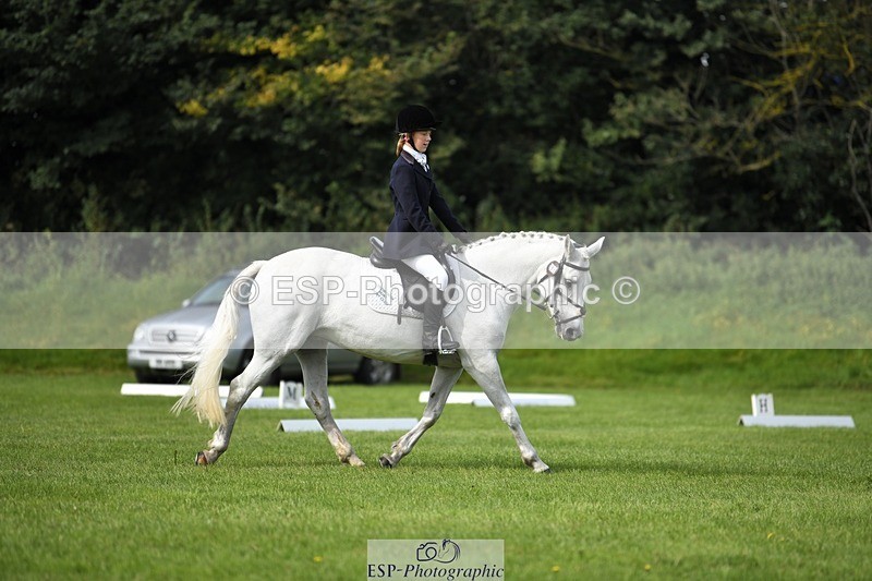 230826-104634-15600 - Sections C & D 10 to End