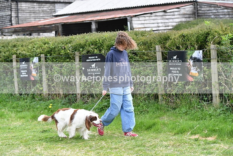 WJ5_9947 - Class 5 Best Veteran / 7 years & over