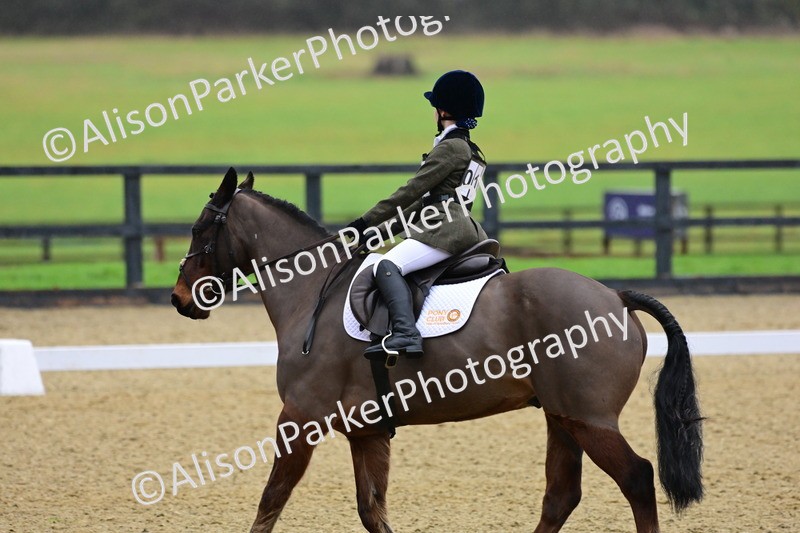 20260125-0605 - Class 9b - Walk Trot Unassisted