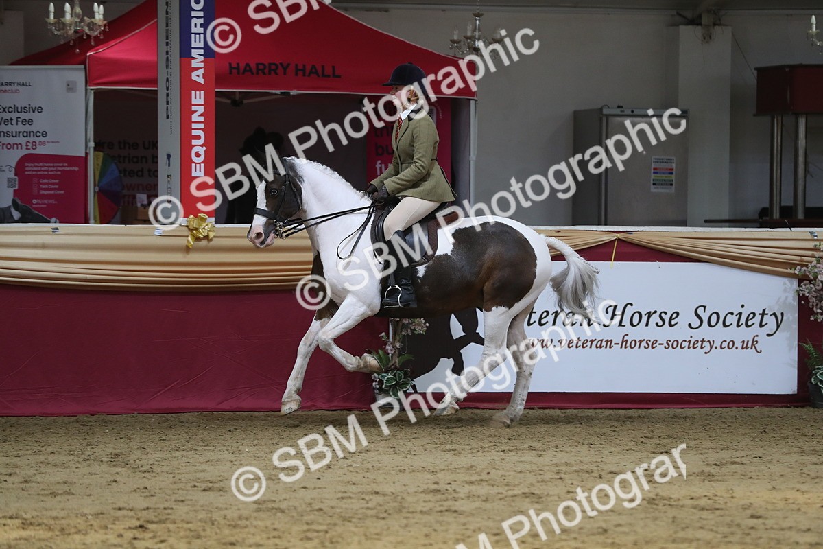 SBM_08427 - Class 11R Regional Ridden Veteran