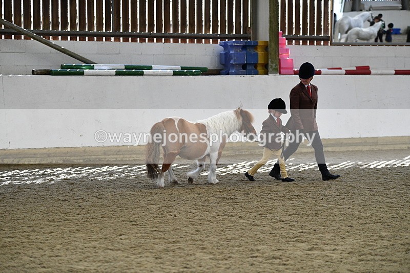 WJ5_4887 - Class 7 In hand coloured / odd coloured