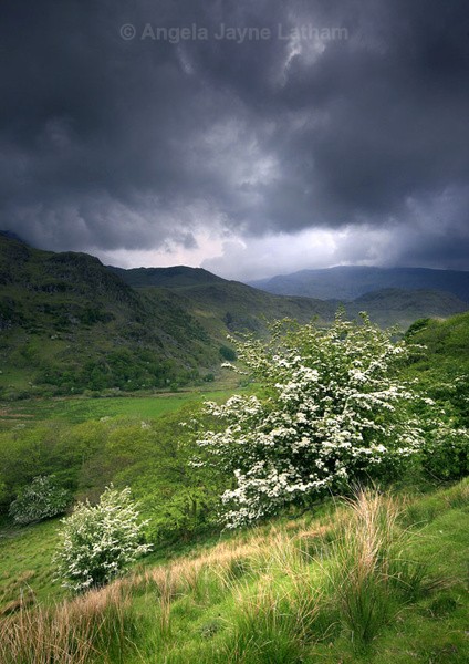 How Green Is My Valley 2 - Celtic Wales