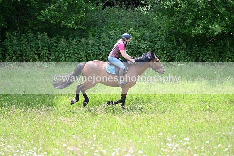 WJ7_8854 - Group 4 11am