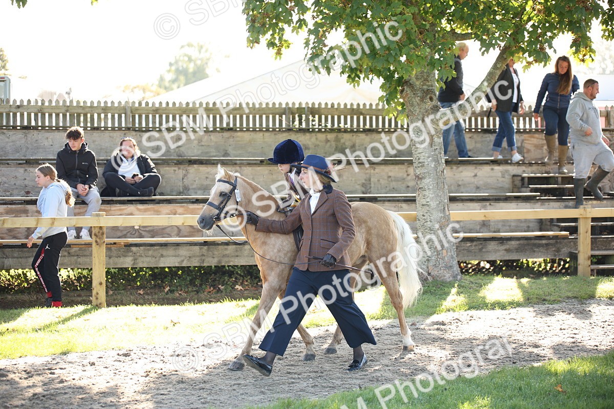 SBM_35776 - S9 - Lead Rein Equitation